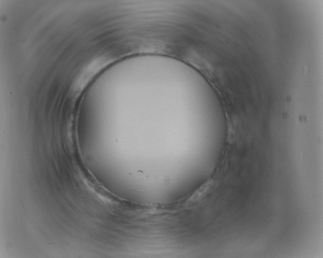 X0000074290098200609151927