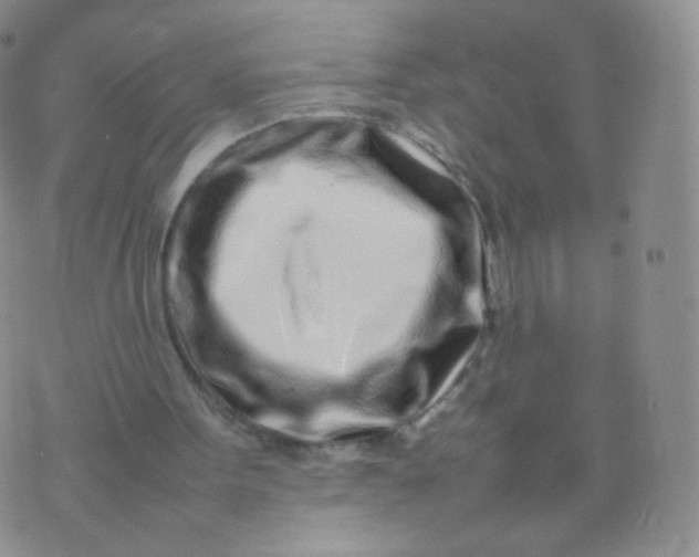 X0000074290099200609151927