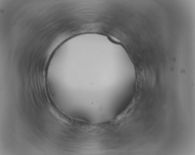 X0000074290100200609151927