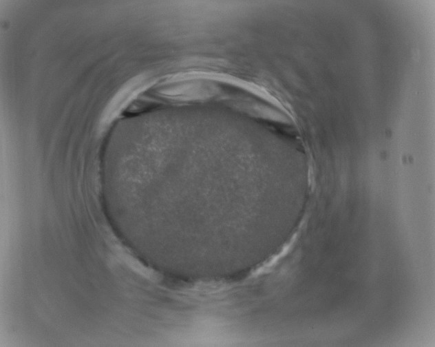 X0000074290101200609151927