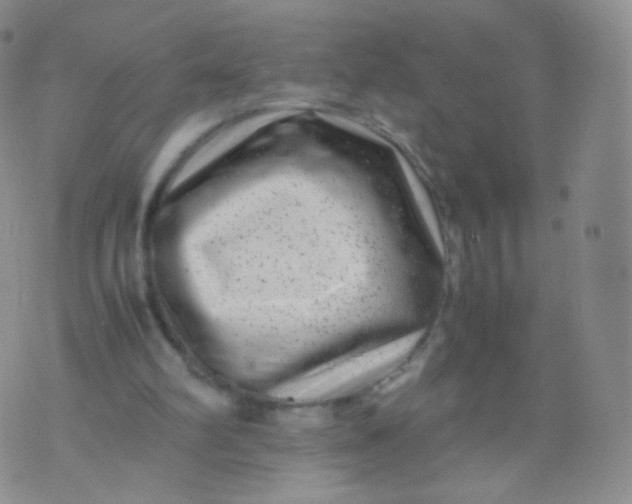 X0000074290102200609151927