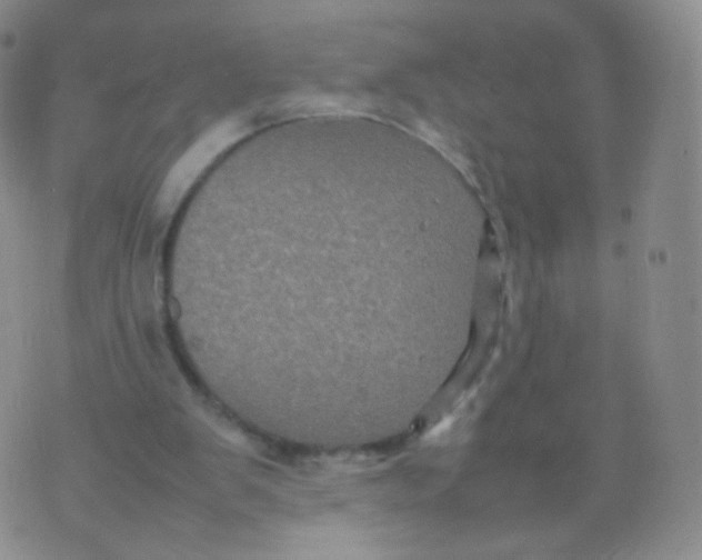 X0000074290103200609151927