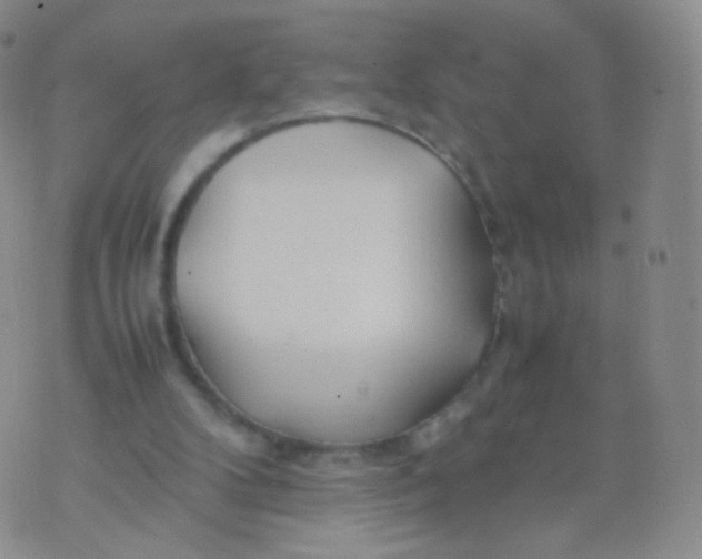 X0000074290104200609151927