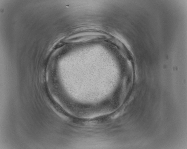 X0000074290105200609151927