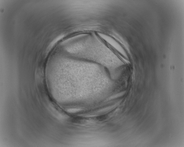 X0000074290107200609151927