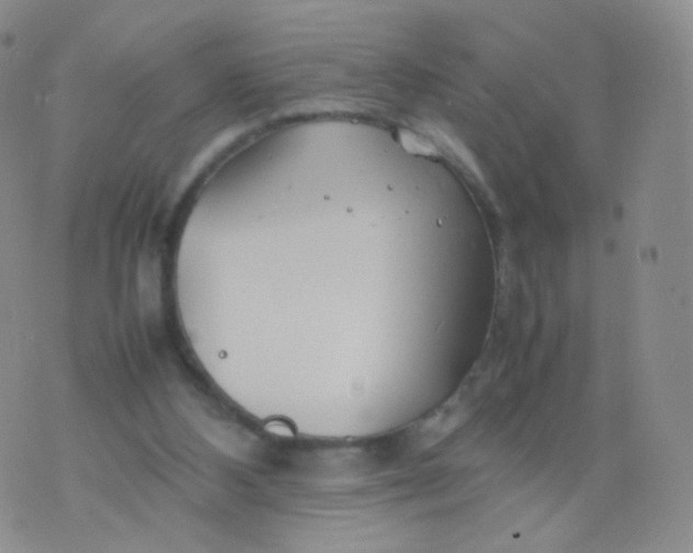 X0000074290108200609151927