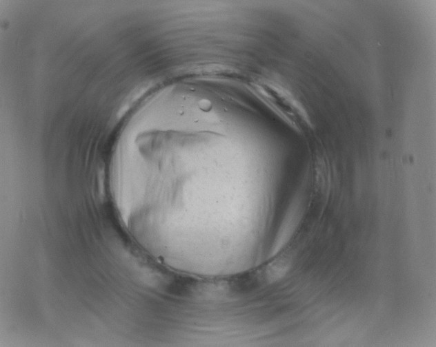 X0000074290110200609151927