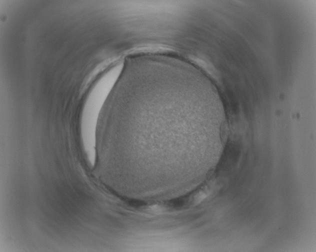 X0000074290111200609151927