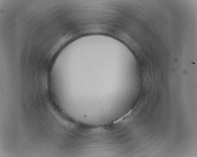 X0000074290112200609151927