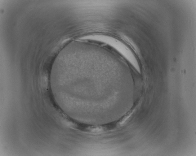 X0000074290113200609151927