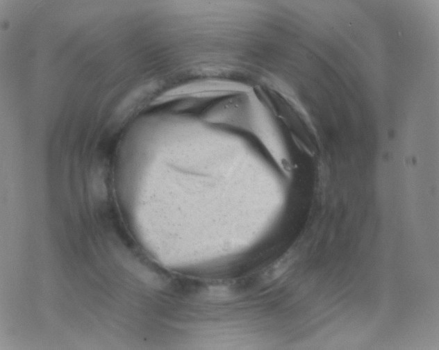 X0000074290114200609151927