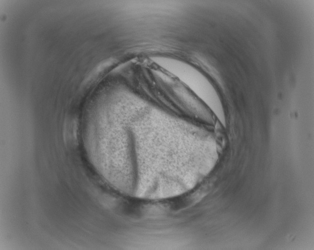 X0000074290115200609151927