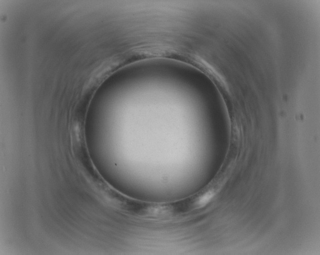 X0000074290117200609151927