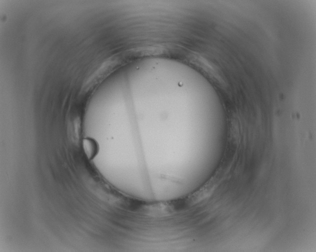 X0000074290118200609151926