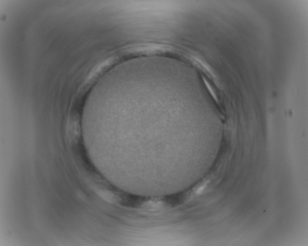 X0000074290119200609151926