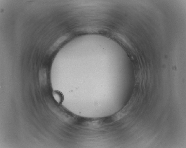 X0000074290120200609151926