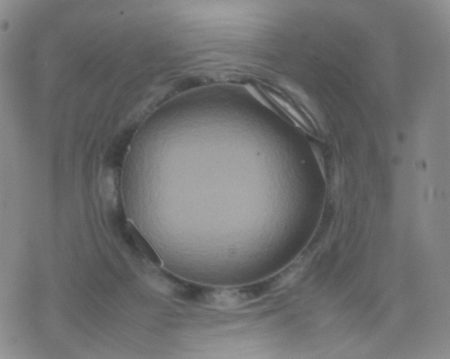 X0000074290121200609151926