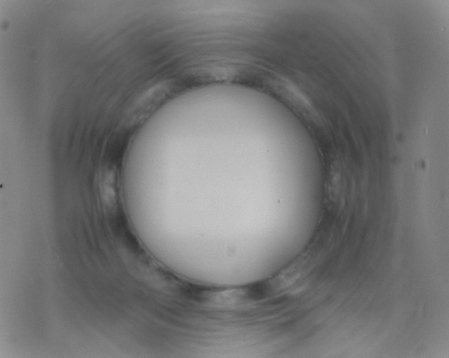 X0000074290122200609151926