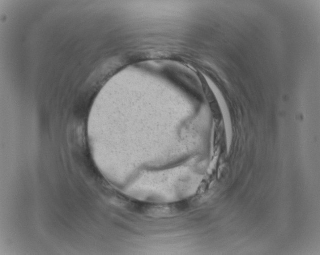 X0000074290123200609151926