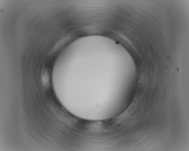 X0000074290124200609151926