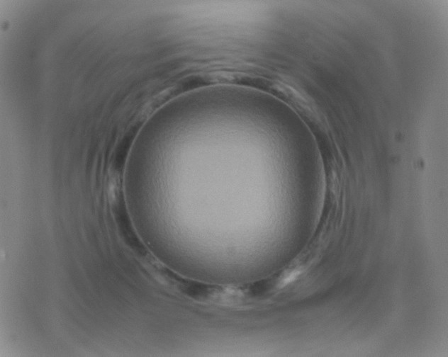 X0000074290125200609151926