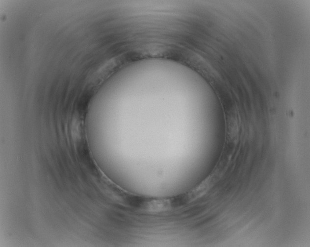 X0000074290126200609151926