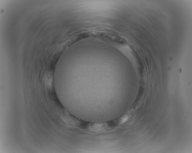 X0000074290129200609151926