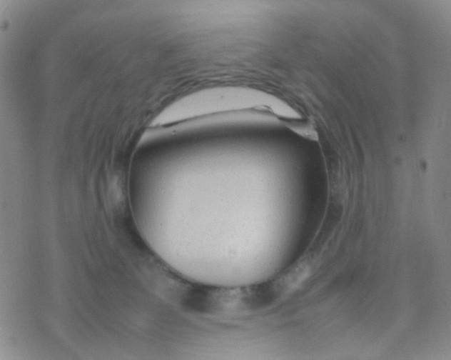 X0000074290131200609151926