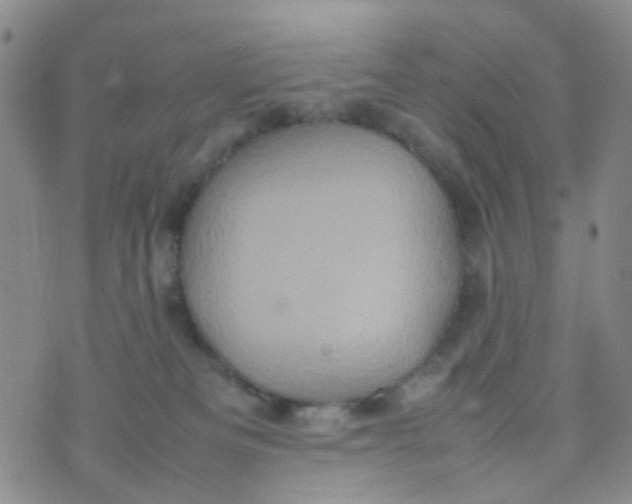 X0000074290133200609151926