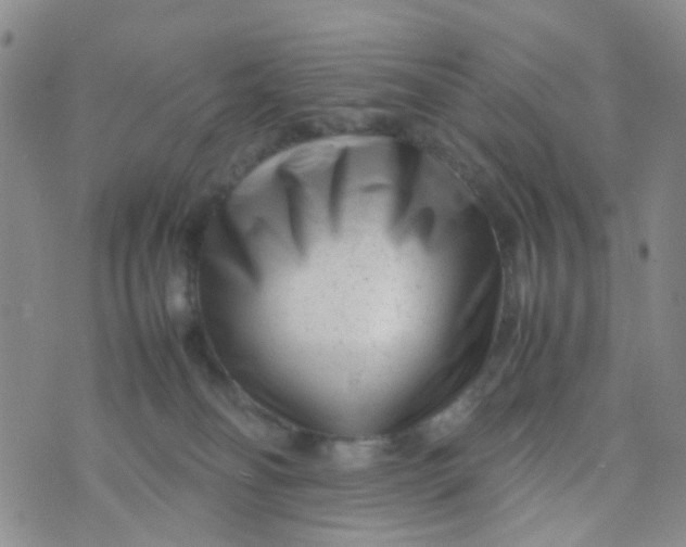 X0000074290134200609151926