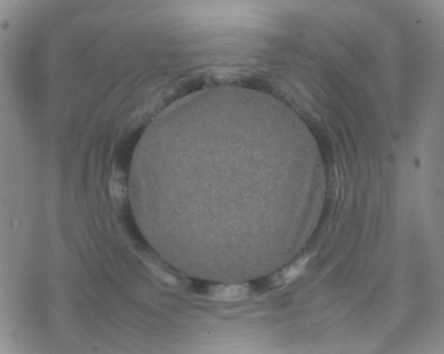 X0000074290135200609151926