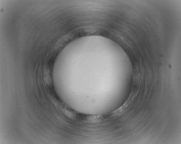 X0000074290136200609151926