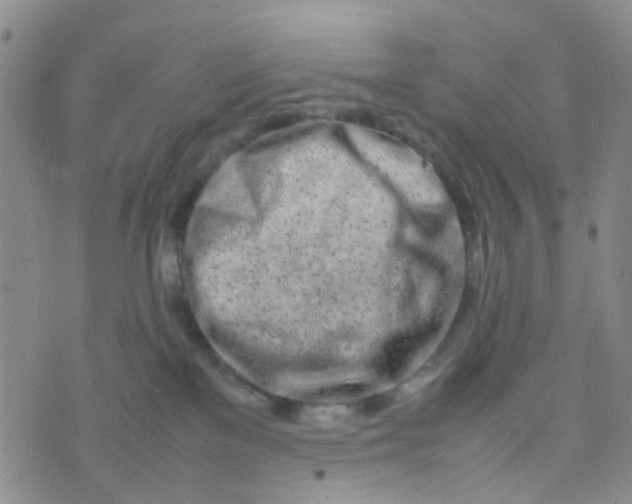 X0000074290137200609151926