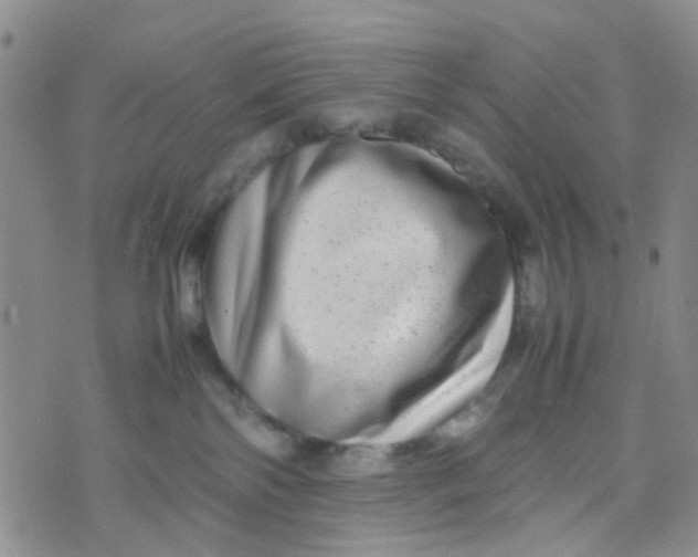 X0000074290138200609151926