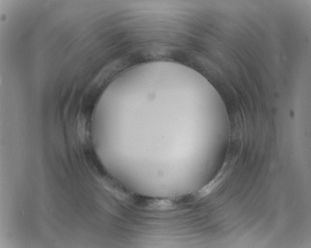 X0000074290140200609151926