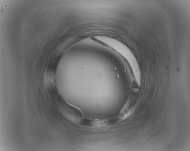 X0000074290141200609151926