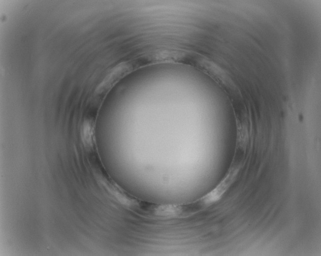 X0000074290142200609151926