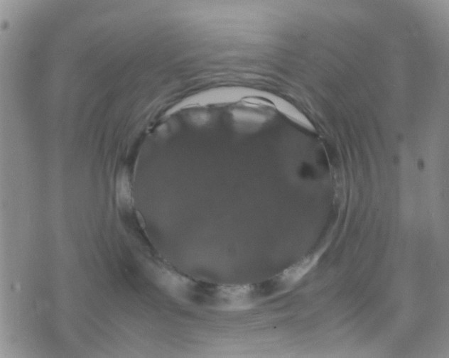 X0000074290143200609151926