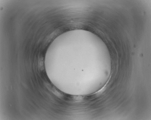 X0000074290144200609151926