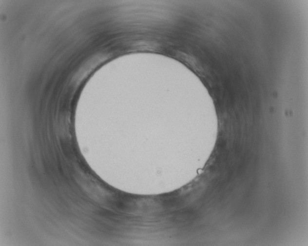 X0000074290146200609151925