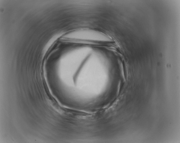 X0000074290147200609151925