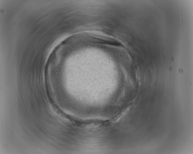 X0000074290148200609151925