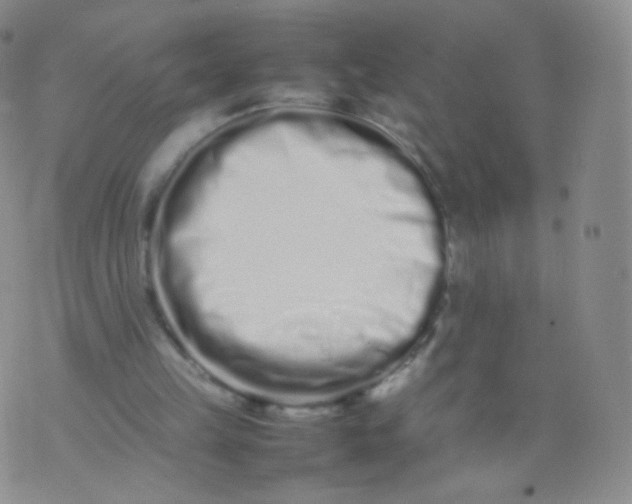 X0000074290149200609151925