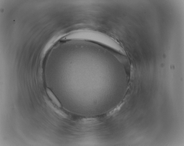 X0000074290150200609151925