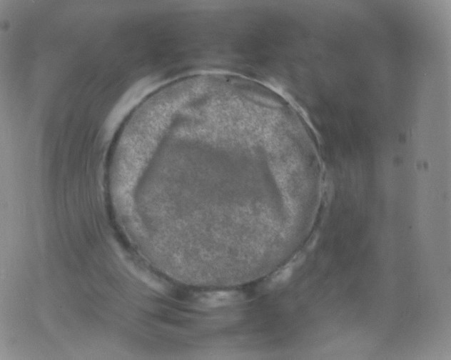 X0000074290151200609151925