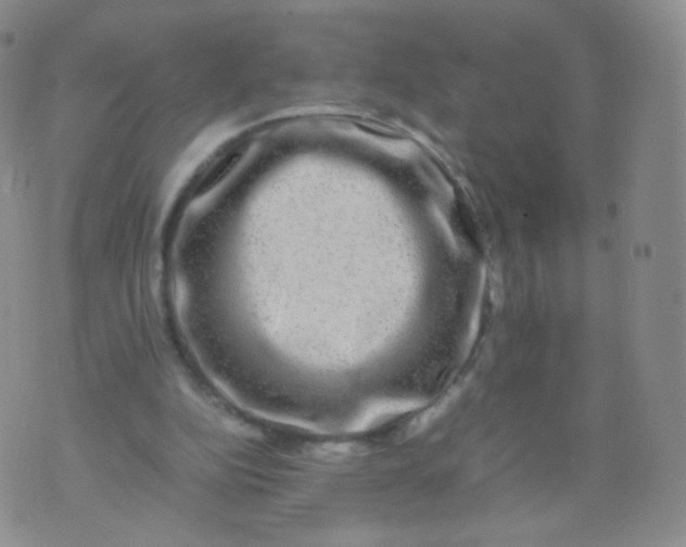 X0000074290152200609151925