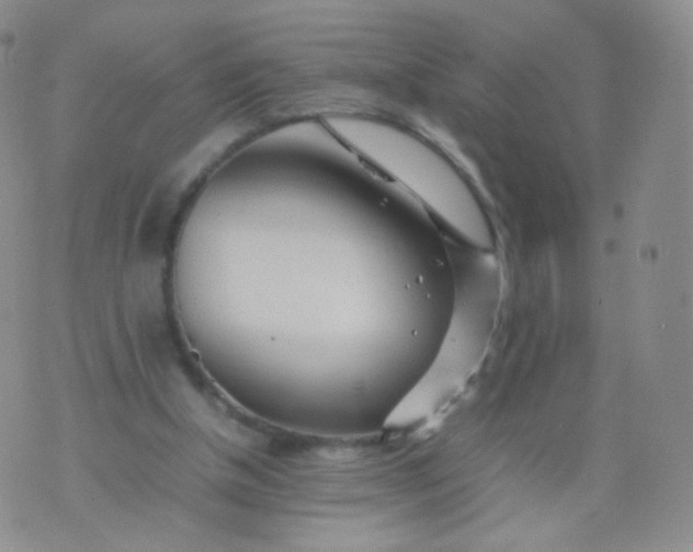 X0000074290154200609151925