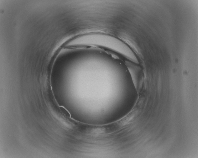 X0000074290156200609151925