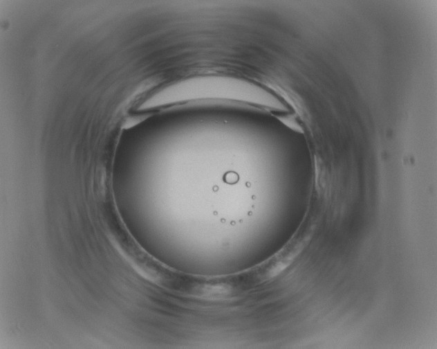 X0000074290157200609151925