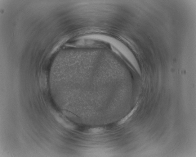 X0000074290158200609151926